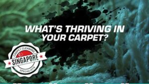 What’s Thriving in Your Carpet?