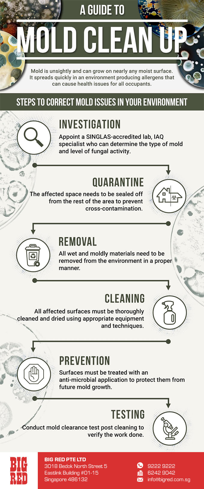 Mold cleanup also called mold remediation process of safely removing mold and addressing the conditions that allowed it to grow