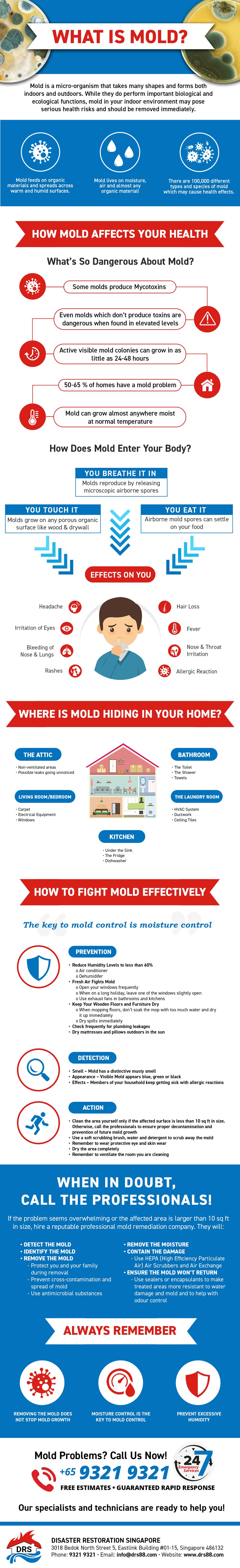 What is Mold? Infographic