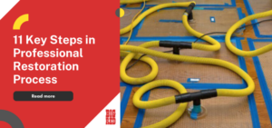 What to Expect from Water Damage Restoration Specialists