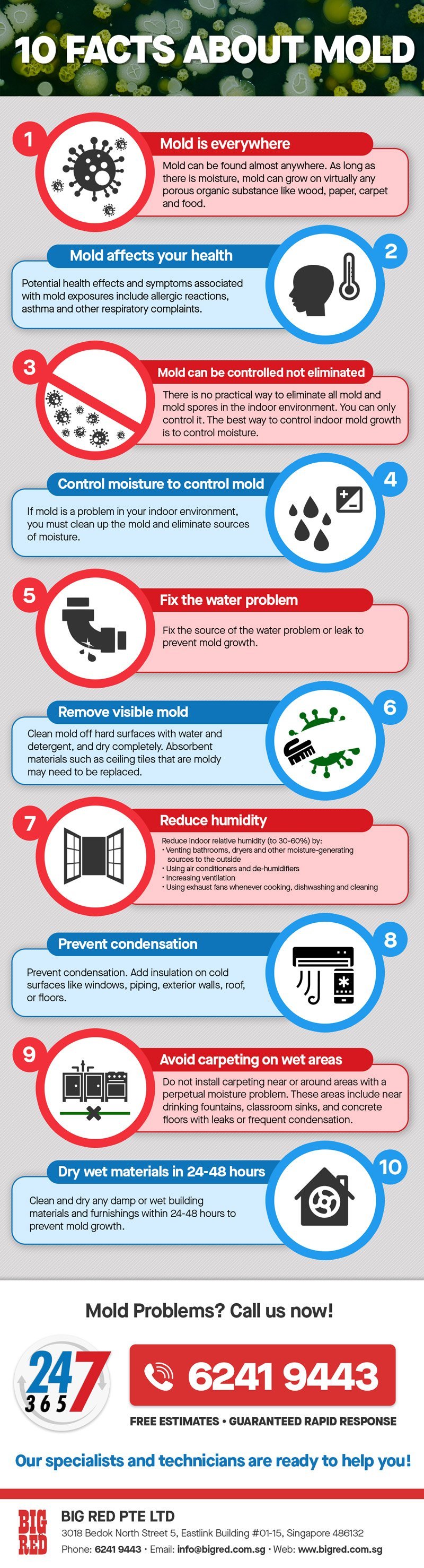 10 Facts You Should Know About Mold | Mold Infographic by Big Red Pte Ltd Singapore