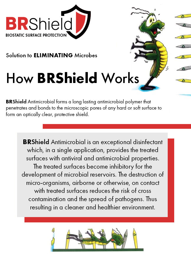 How BRShield Works