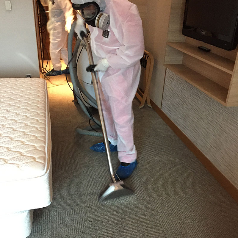 Disinfection Cleaning of Carpets