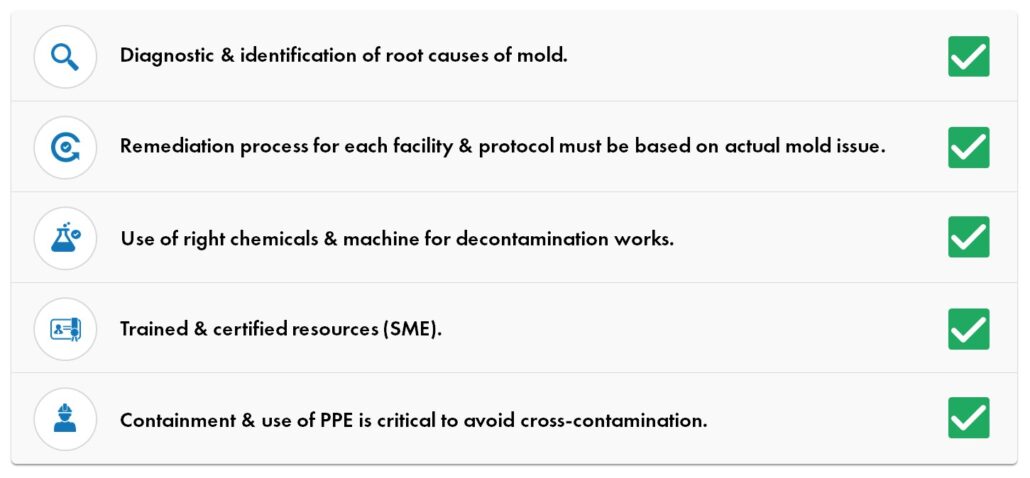 International Best Practices for Mold Remediation