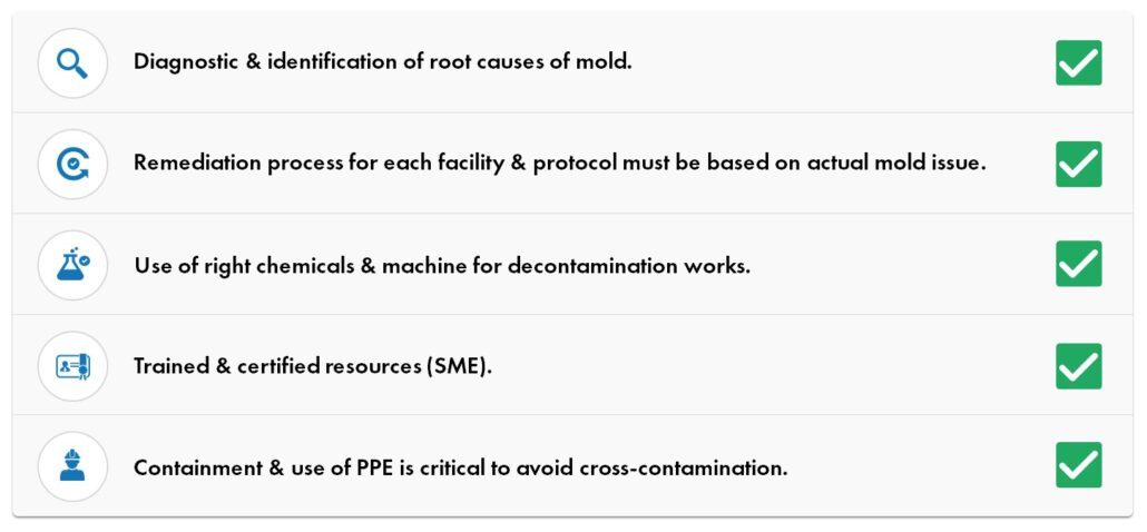 International Best Practices for Mold Remediation