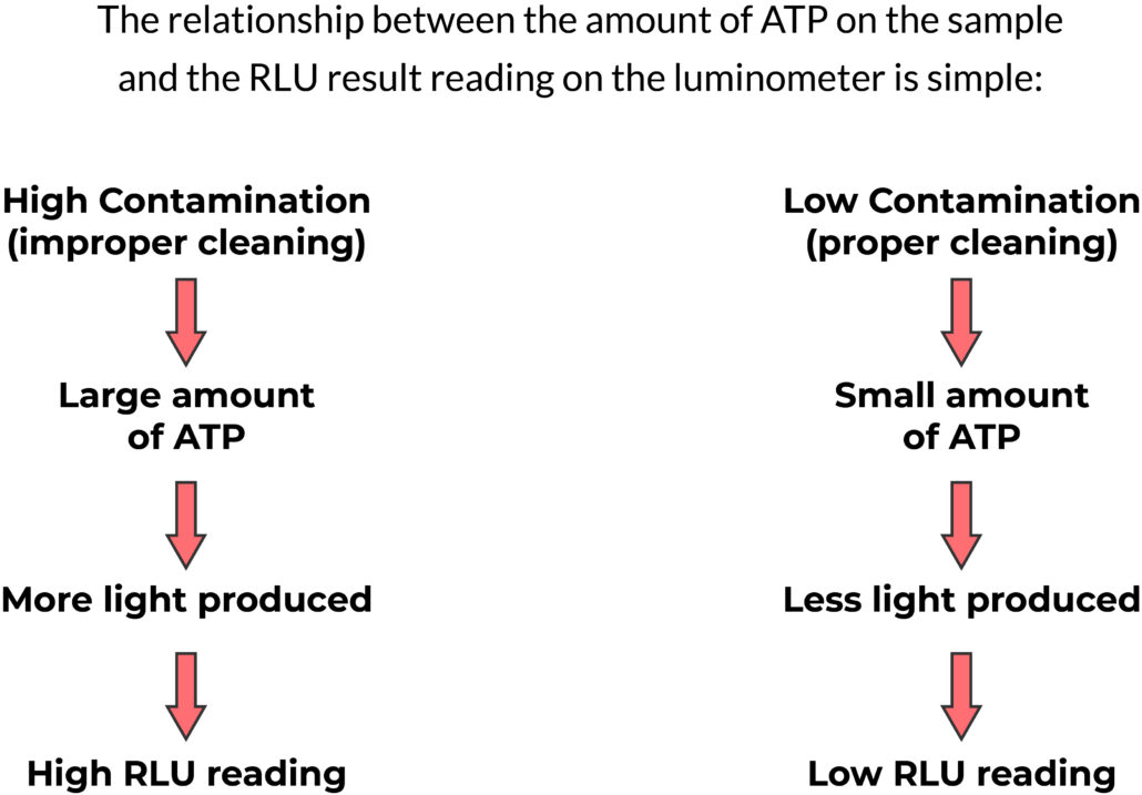 The relationship between ATP and RLU
