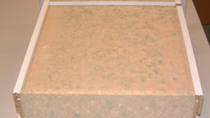 Mold Growth Due to High Humidity