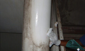 Mold Growth on Pipes in Stairwell Decontaminated and Coated with BR Shield Antimicrobial