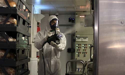 Coronavirus Disinfection of Food Processing Environment