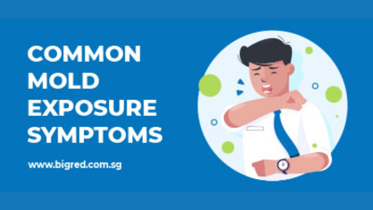 Common Mold Exposure Symptoms Big Red Singapore