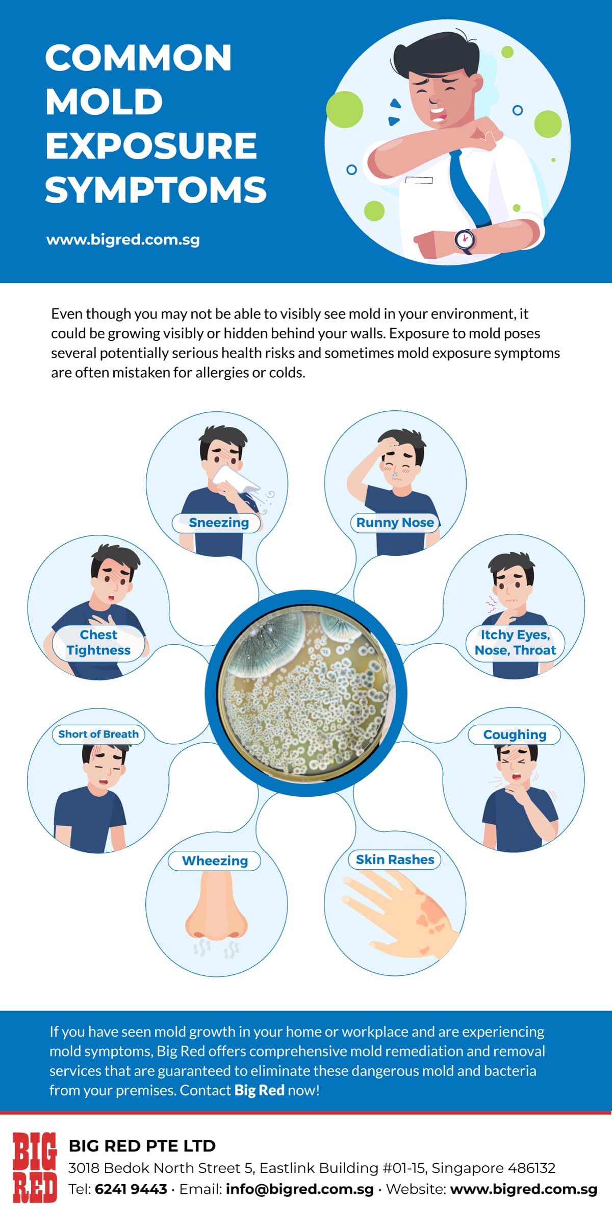 Common Mold Exposure Symptoms Infographic