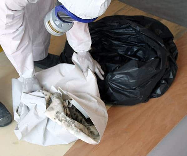 Disposal of Wall's Moldy Materials