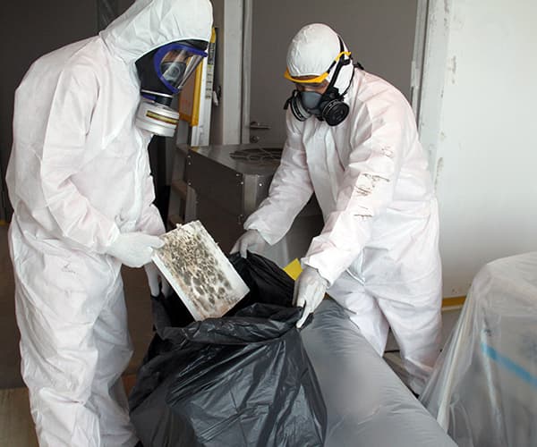 Safe Disposal of Mold Infested Materials