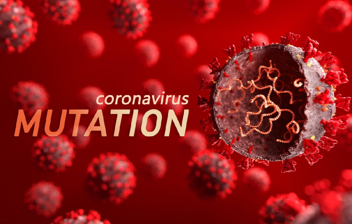 New Variant Strains of the Coronavirus (Covid-19) – What You Should Know