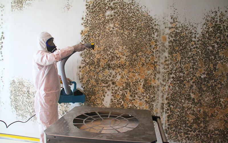 Mold remediation