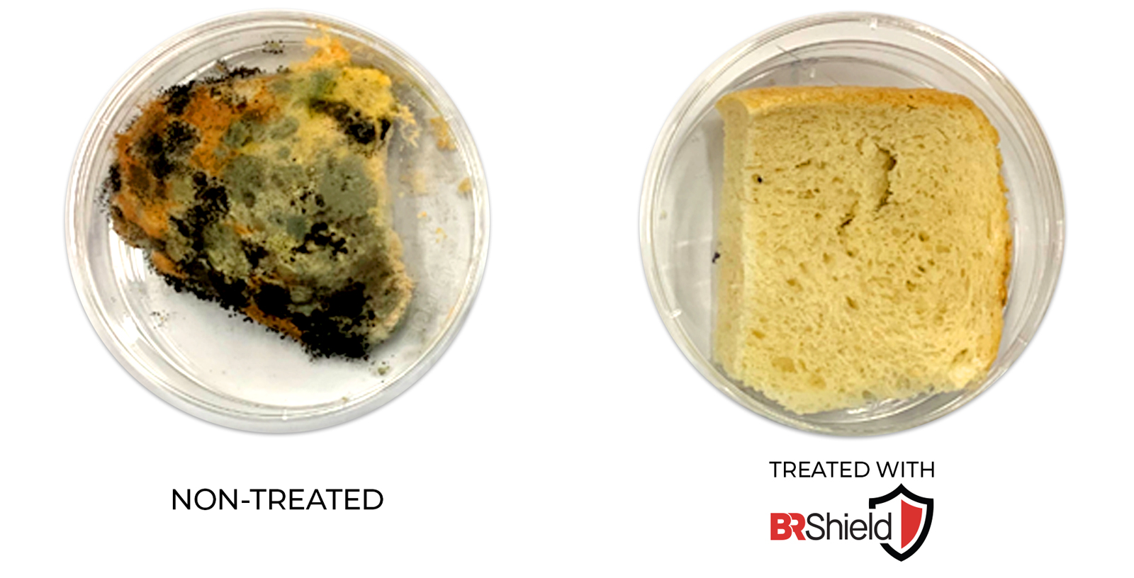 Bread Not treated vs bread treated with br shield