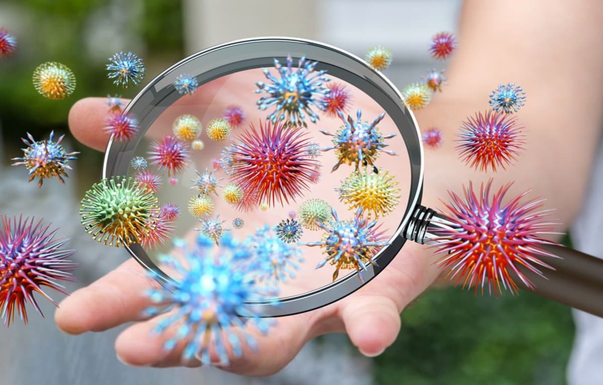 Fomites and Their Role in the Spread of Bacteria and Viruses