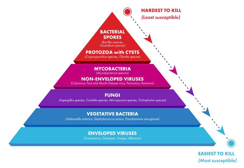Hierarchy of Susceptibility