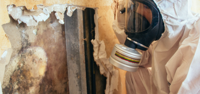 Mold Matters
