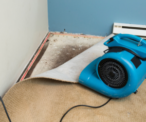 Restoring Your Property: The Steps involved in Water Damage Restoration