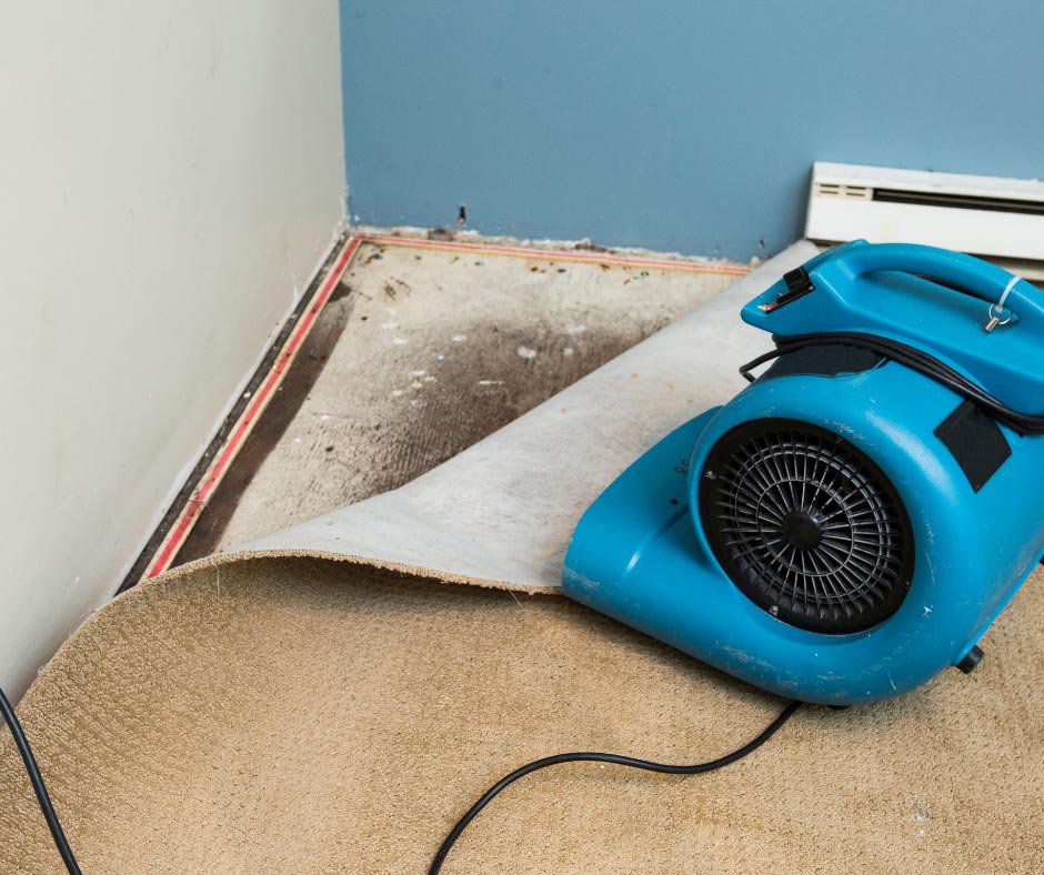 Water Damage Restoration Guide