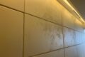 after-circuit-breaker-office-surfaces-singapore-infested-with-mold