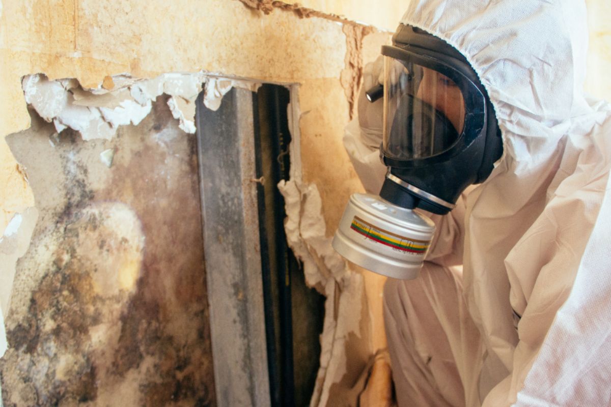 Combatting Mold in Singapore: A Comprehensive Guide to Professional Remediation