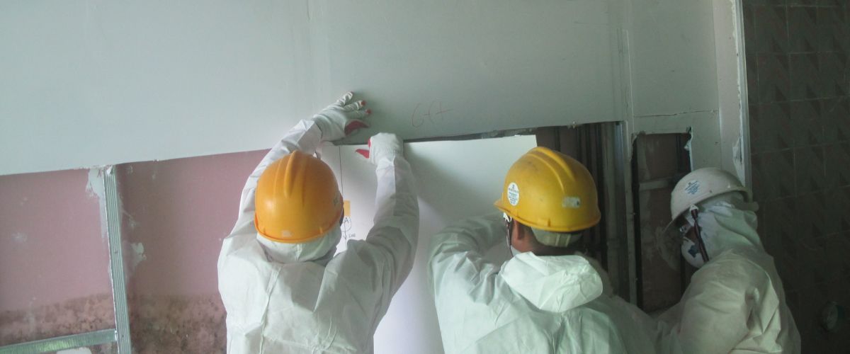 Health and Safety During Mold Remediation