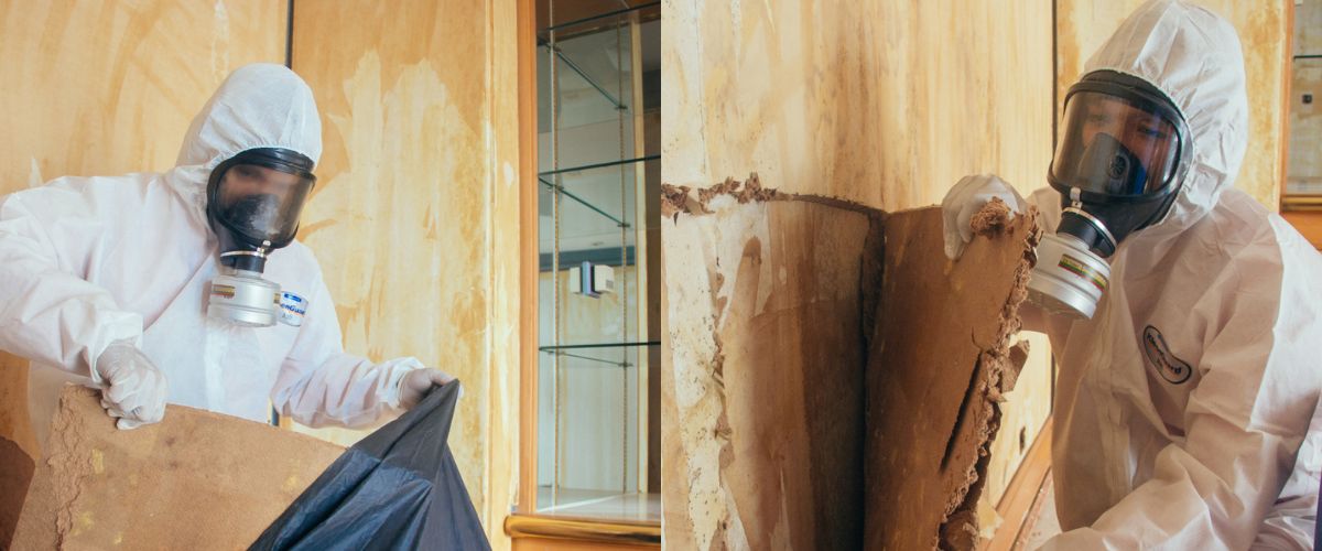 The Unmatched Benefits of Professional Mold Remediation