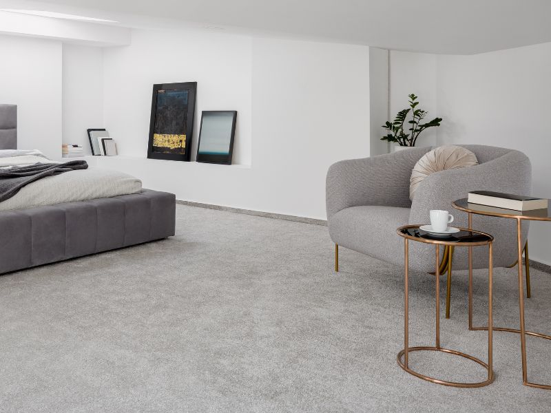 Home Living Area with Professionally Cleaned Carpet