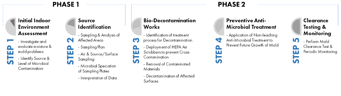 mold remediation phase - big red
