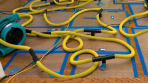 What to Expect from Water Damage Restoration Specialists
