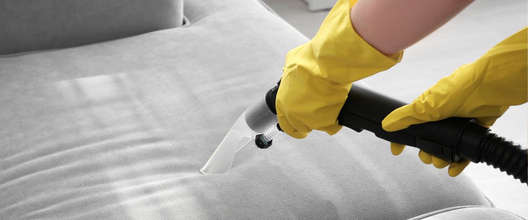 Professional Cleaning: The Expert Approach 