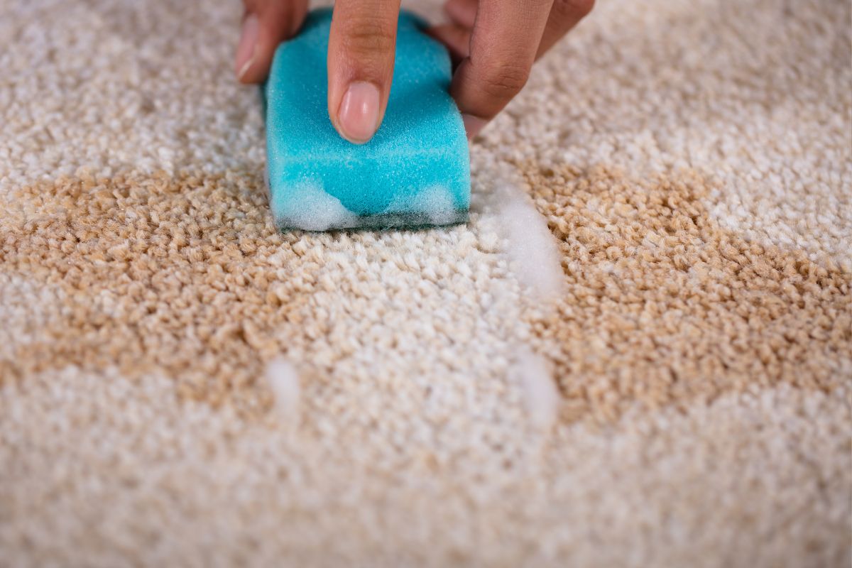 Rug Stain Removal – Dos and Don’ts: Understanding Fiber to Stain