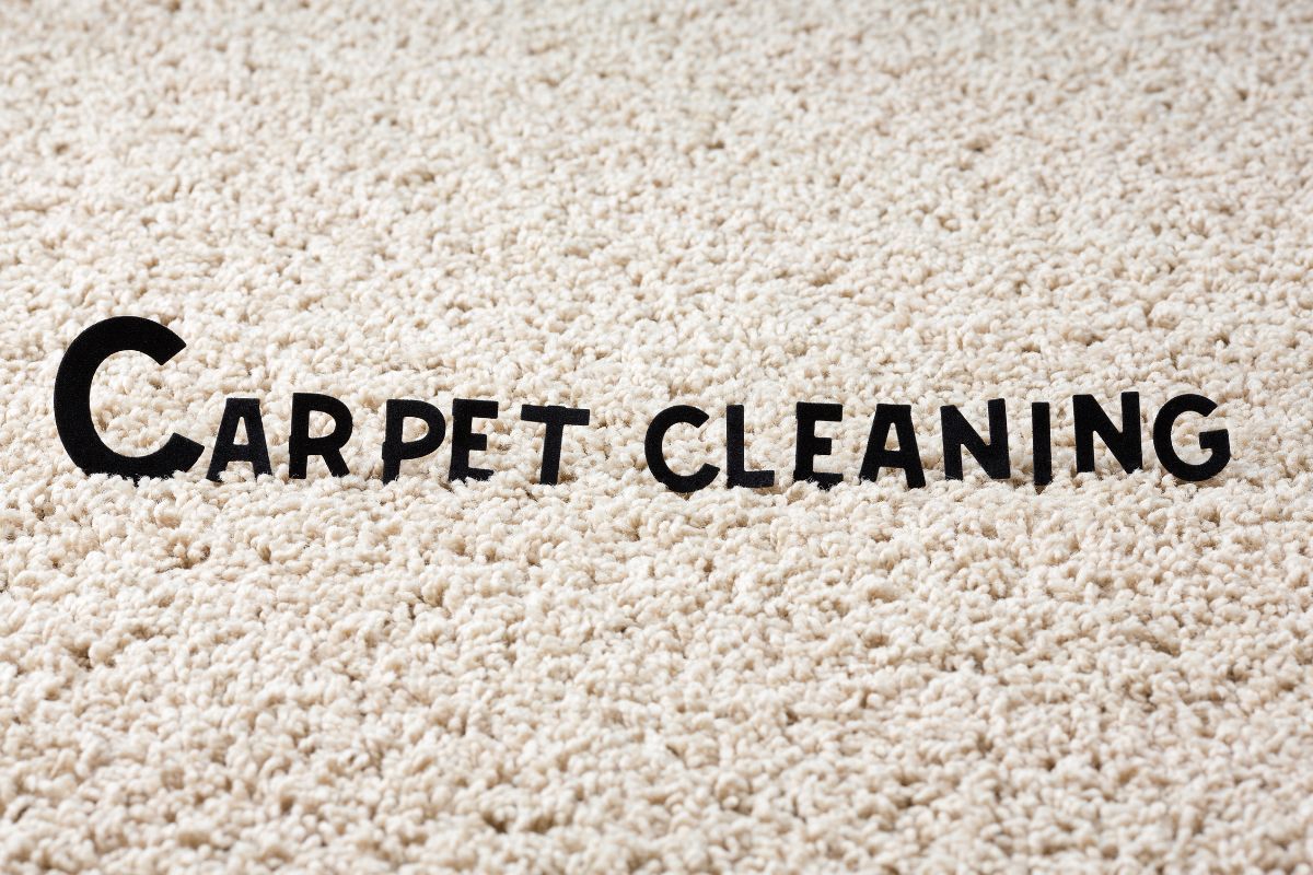 Carpet Cleaning Essentials: Your Questions Answered