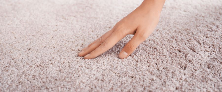 Case Study 3: Mold Elimination in a Humid Apartment