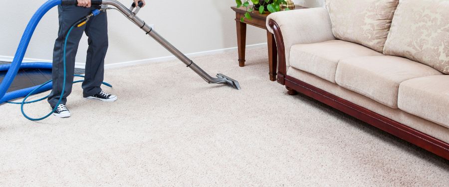Case Study 1: Allergy Relief in a Family Home