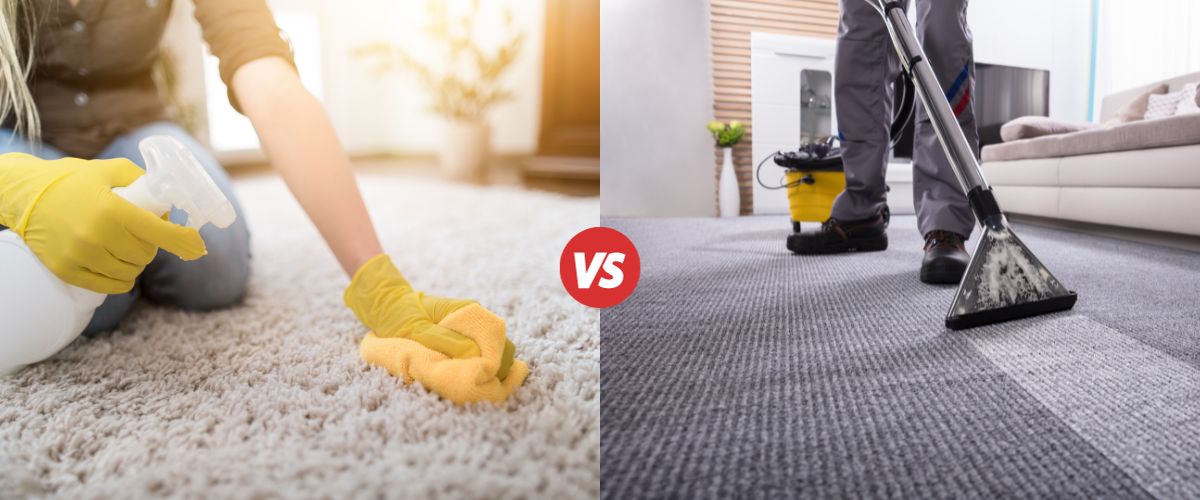 DIY vs. Professional Carpet Cleaning