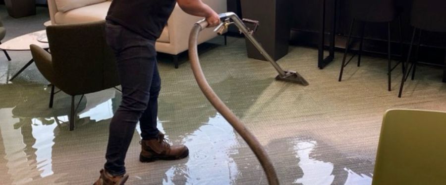 Expert Carpet Care at Your Fingertips with Big Red
