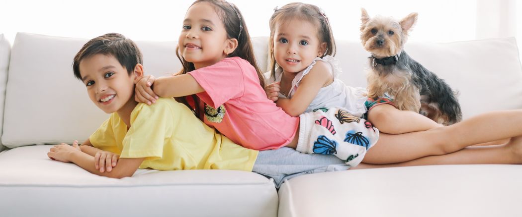 Understanding Upholstery and Its Needs: A Closer Look at Your Comfort Companions