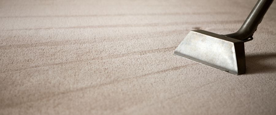 Case Study 4: Restoration After Water Damage