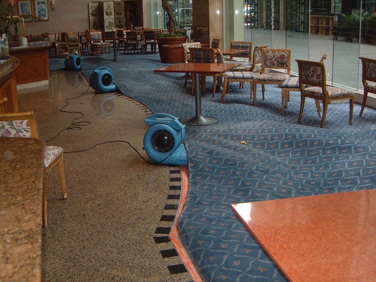 Big Red's Essential Guide to Water Damage Restoration