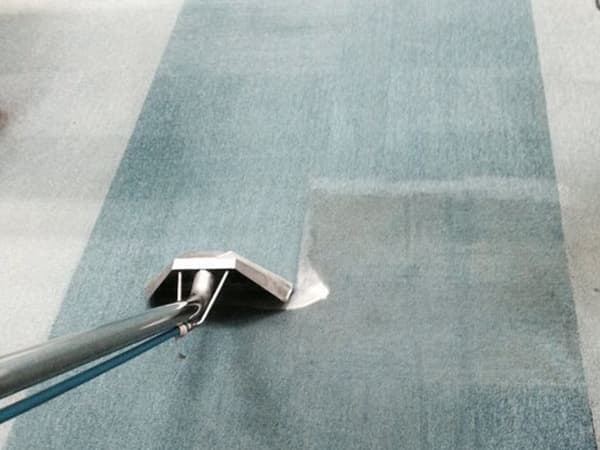 Shampooing and Steam Carpet Cleaning