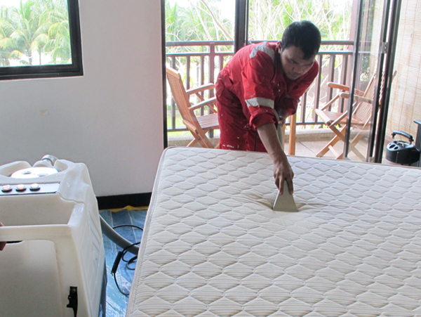 Big Red Professional Cleaning a Mattress