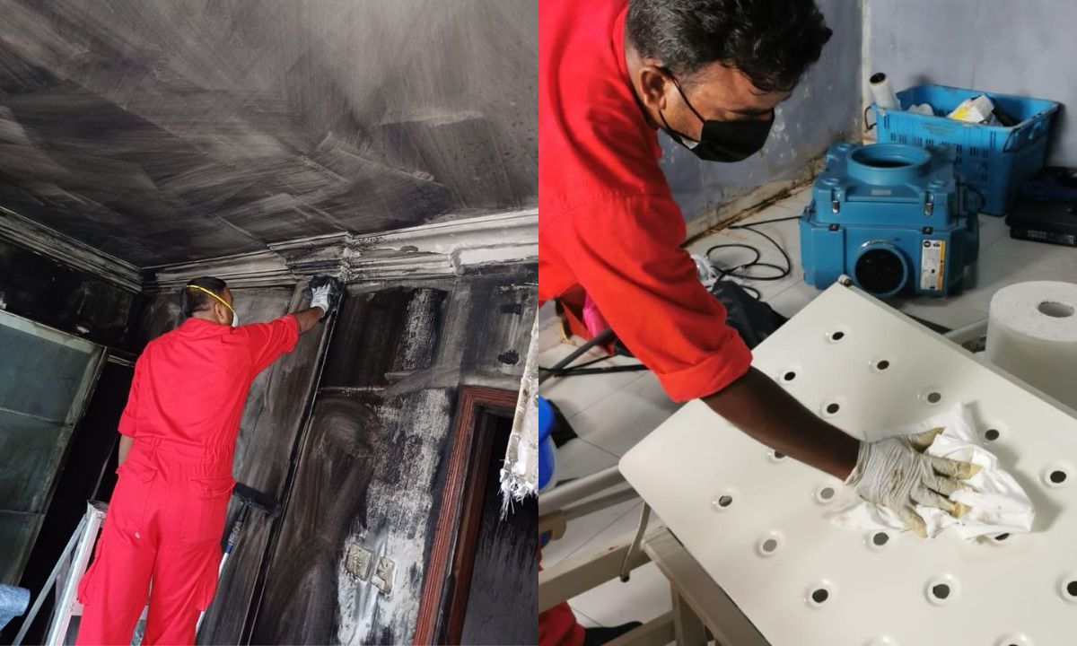 Cleaning and Restoration Techniques