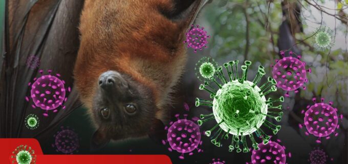 Understanding the Potential Threat of Nipah Virus (NiV)