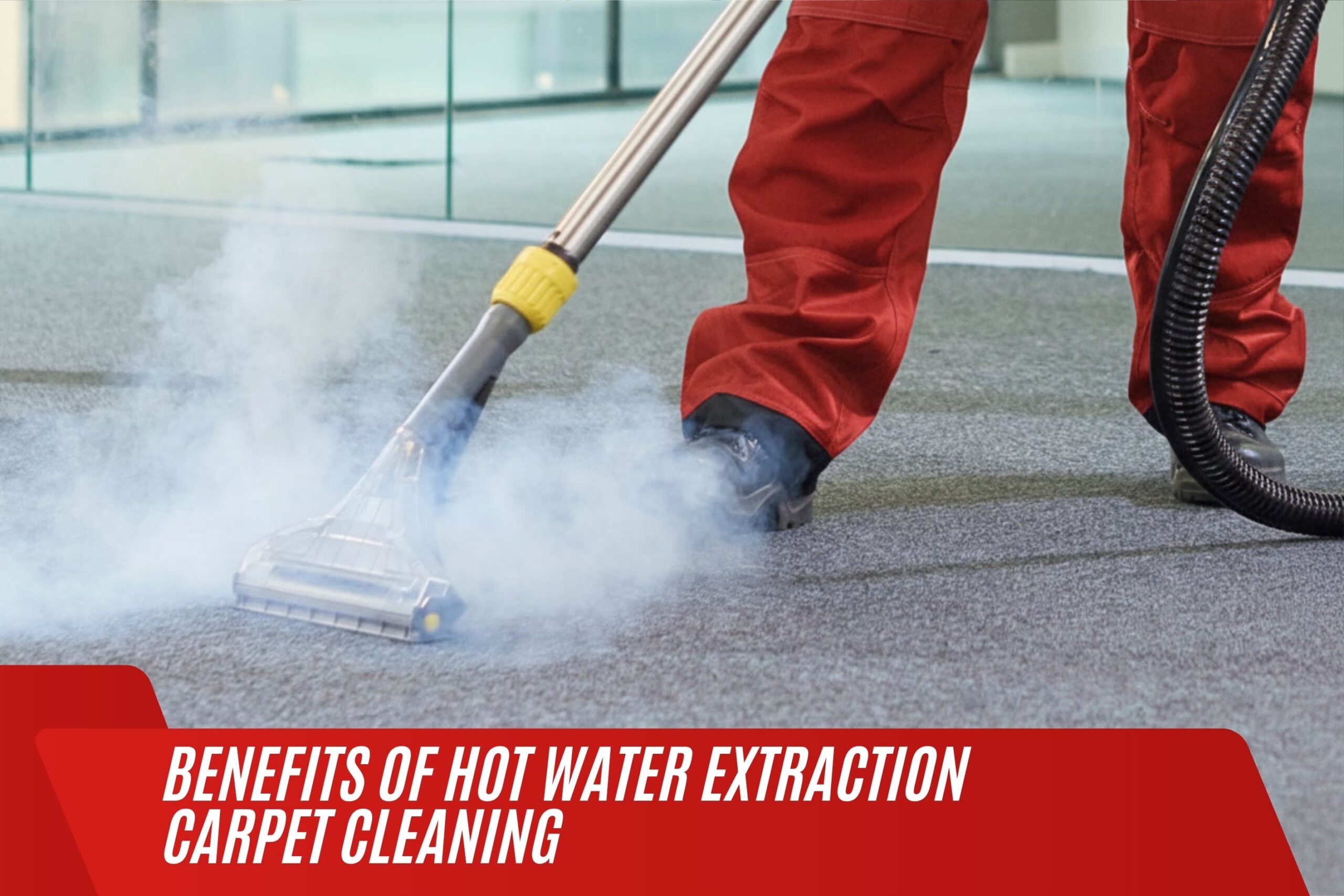 Professional hot water extraction carpet cleaning service