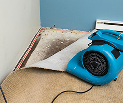Water Damage Restoration Guide Singapore